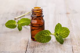 Natural Peppermint Oil Soap