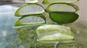 Aloe Vera Soap